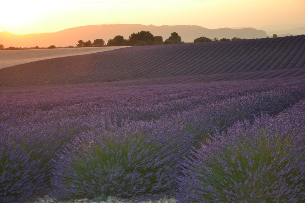 Les Terrasses De Valensole Bed & Breakfast Екстериор снимка