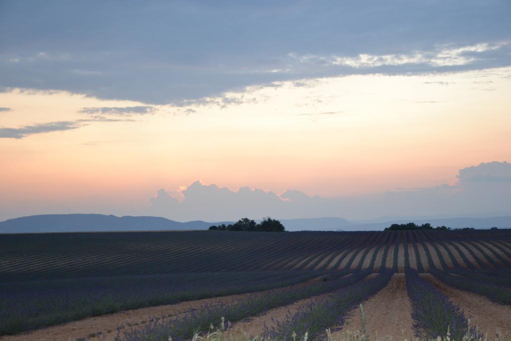 Les Terrasses De Valensole Bed & Breakfast Екстериор снимка