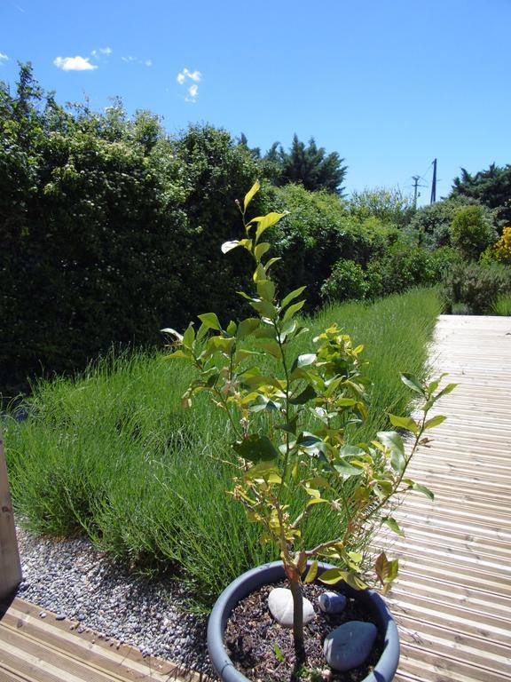 Les Terrasses De Valensole Bed & Breakfast Екстериор снимка