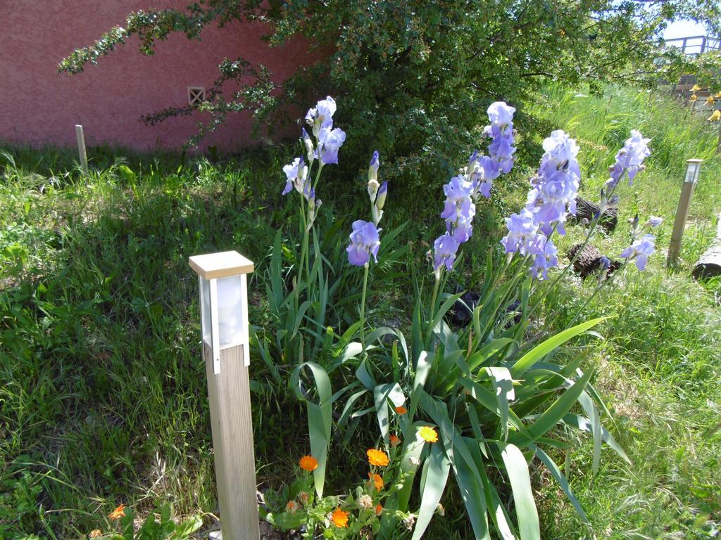 Les Terrasses De Valensole Bed & Breakfast Екстериор снимка